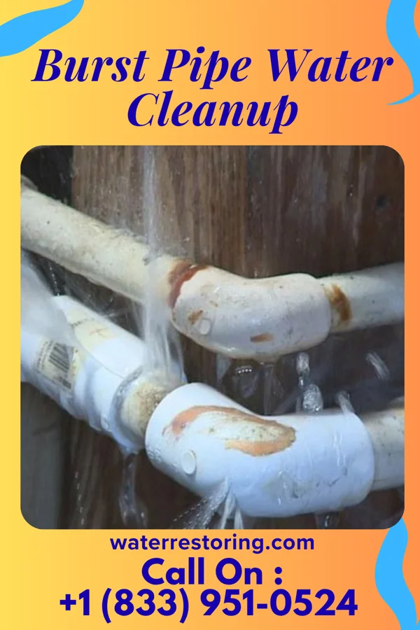 Burst Pipe Water Cleanup in Dunlap, IN