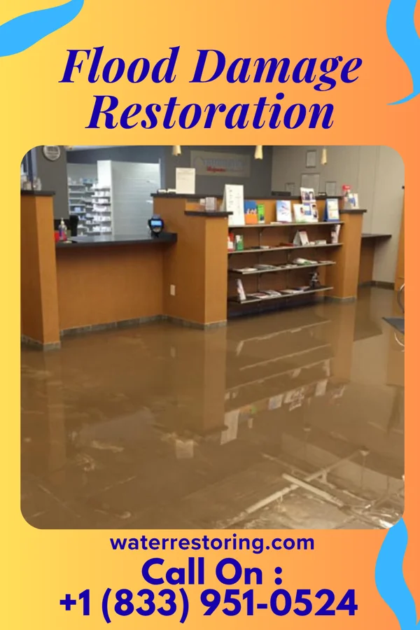 Flood Damage Restoration in Dunlap, IN