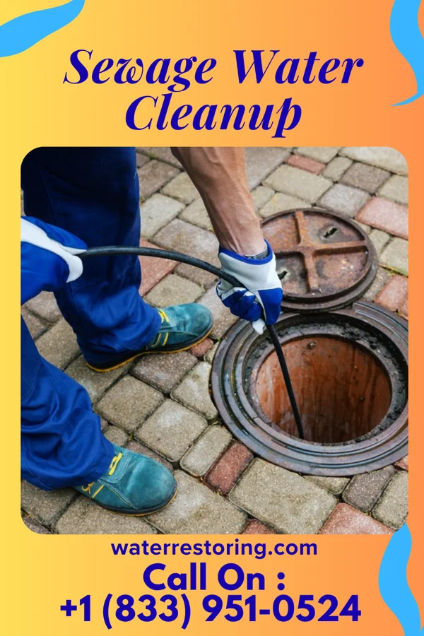 Sewage Water Cleanup in Dunlap, IN