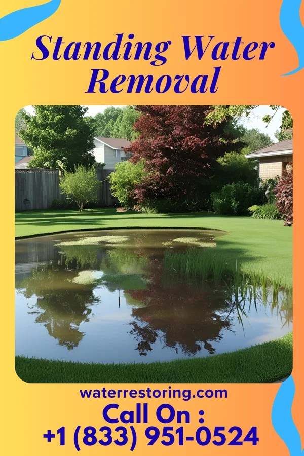 Standing Water Removal in Dunlap, IN